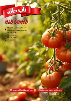 catalog