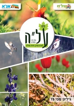 חוברת על