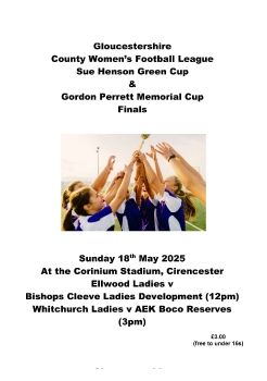 Glos Co League Women's Final