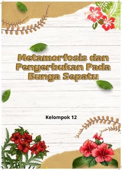 Metamorfosis dan Penyerbukan Pada
 Bunga Sepatu
