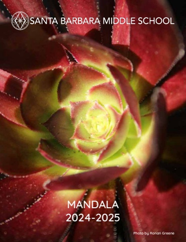 mandala 2025 for flip