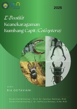 Struktur Kumbang Capit